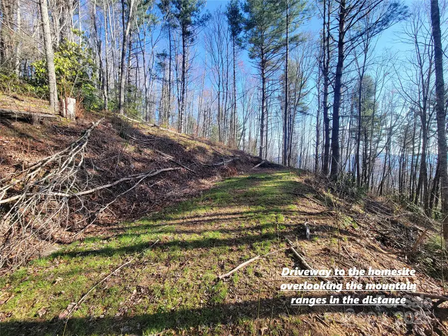 111 Digging Seng Trail #138, Waynesville, NC 28785 - Image #2