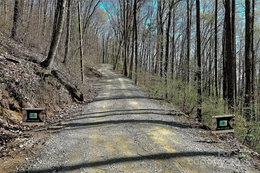 99999 Pink Fox Cove Road, Weaverville, NC 28787 - Image #2