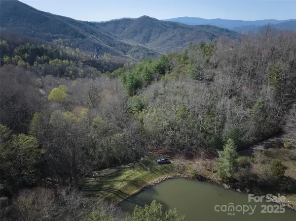 0 Conley Mountain Association Road, Whittier, NC 28789