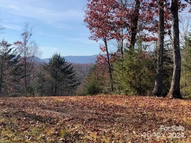 30 Mountain Parkway, Mill Spring, NC 28756 - Image #1