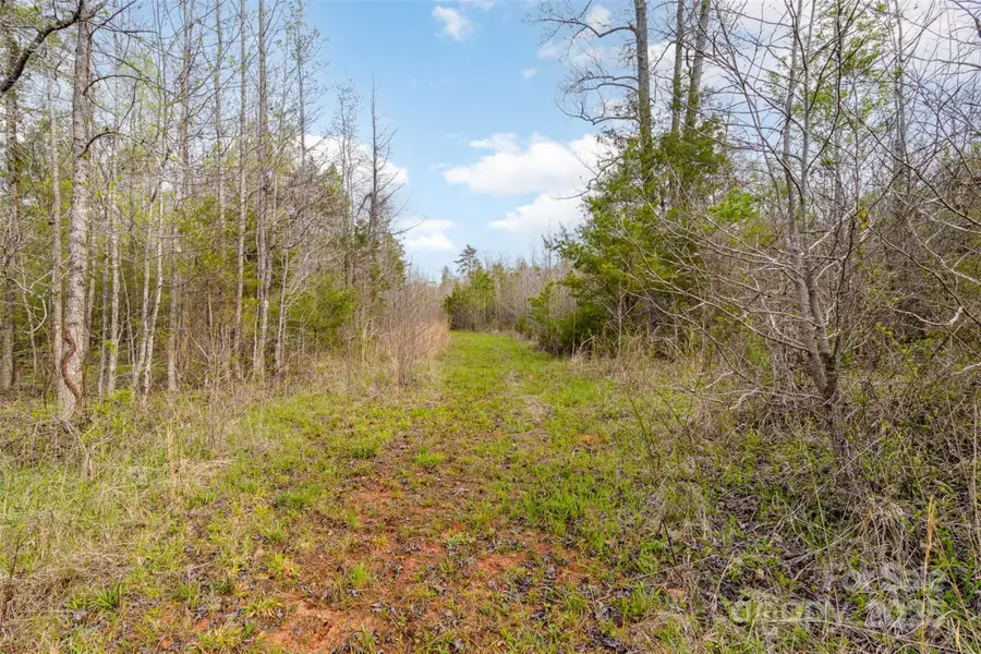 13562 Smith Ford Road, Hickory Grove, SC 29717 - Image #3