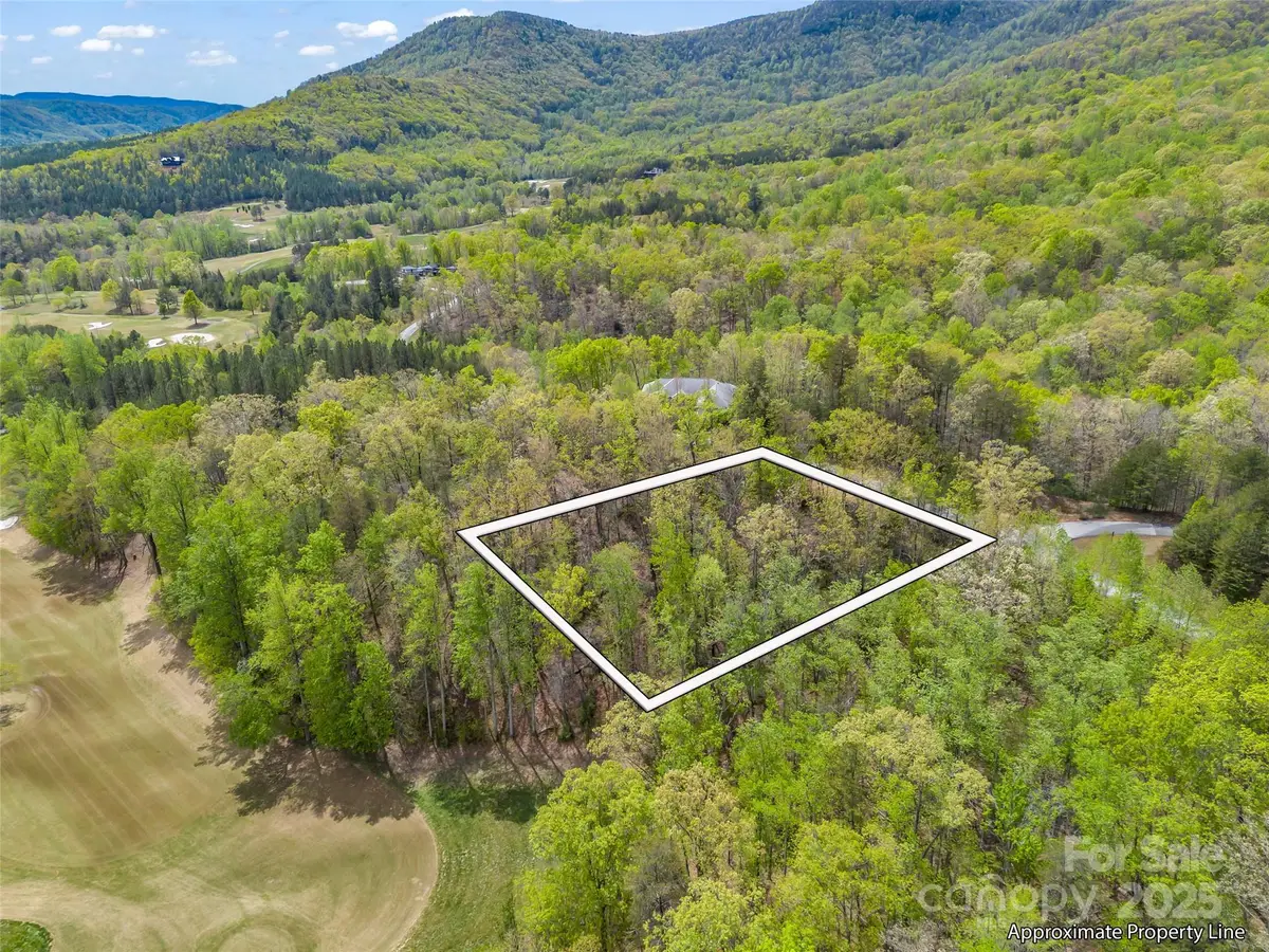 112 Deep Gap Farm Road E, Mill Spring, NC 28756 - Image #1