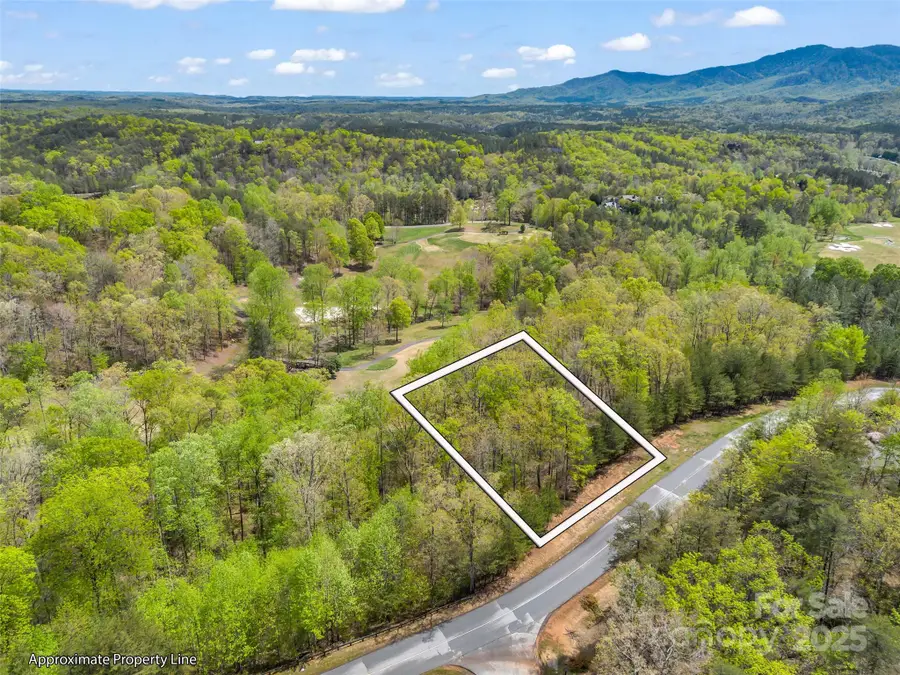 112 Deep Gap Farm Road E, Mill Spring, NC 28756 - Image #2