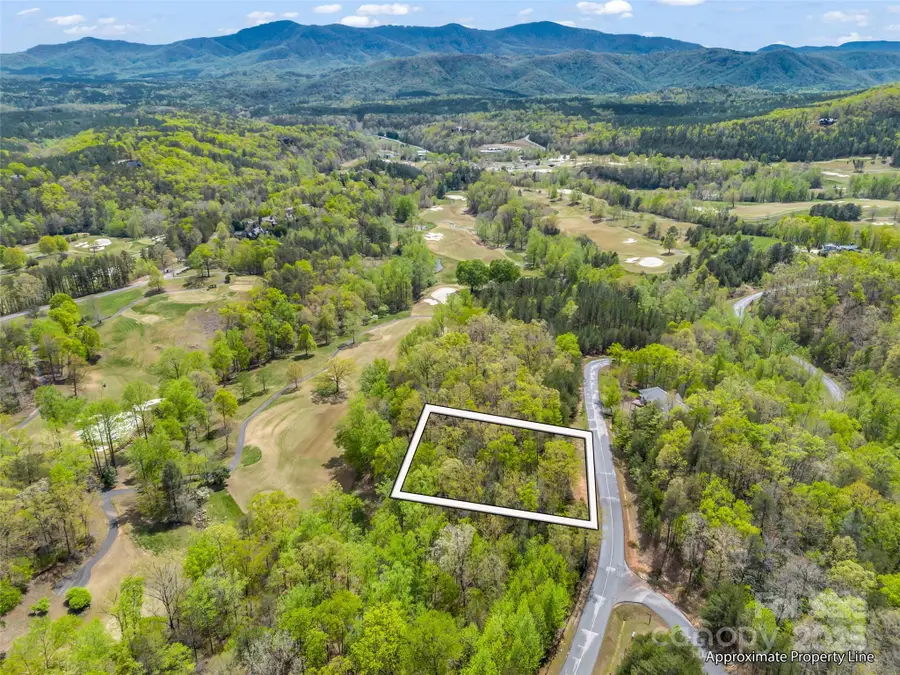 112 Deep Gap Farm Road E, Mill Spring, NC 28756 - Image #3
