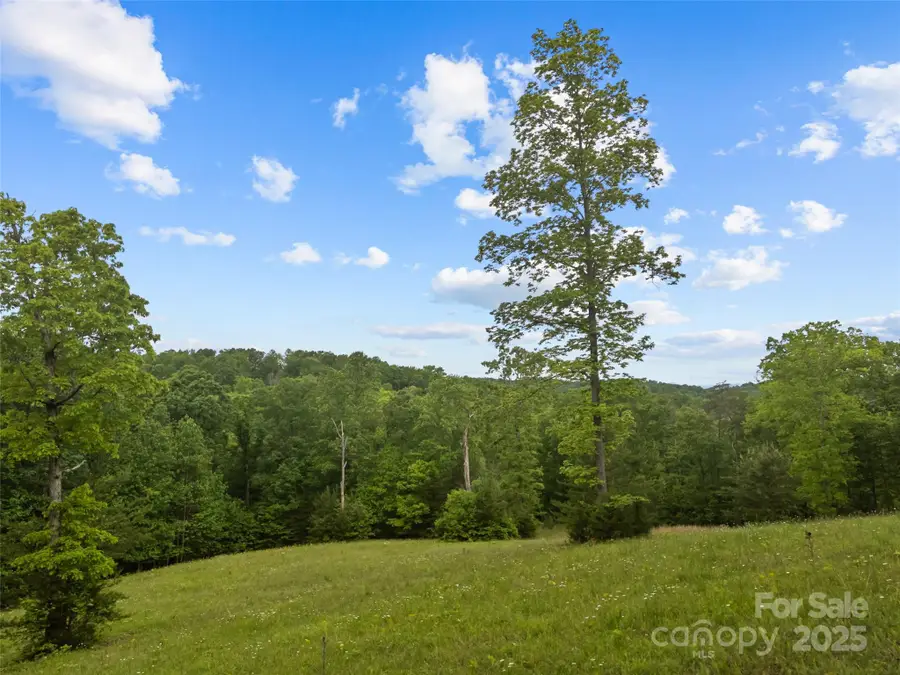0000 S County Line Road, Rutherfordton, NC 28139 - Image #3