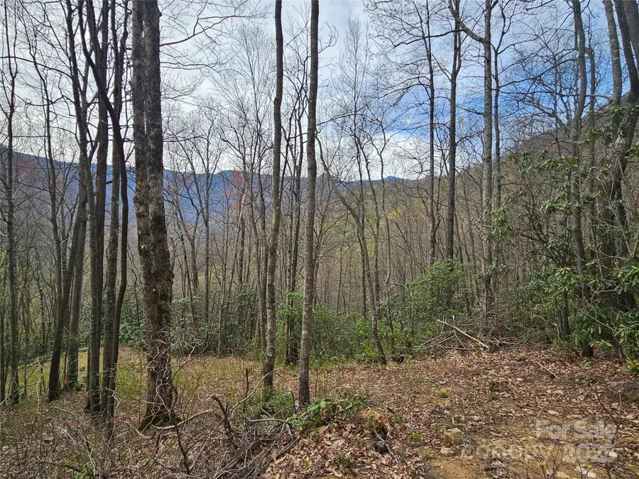 TBD Davy Crockett Drive #109-112, Maggie Valley, NC 28751 - Image #2