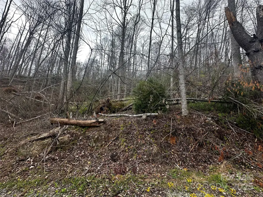 00 Aaron Branch, Bakersville, NC 28705 - Image #3