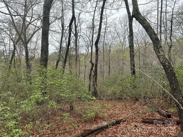 V/L Country Acres Drive, Old Fort, NC 28762