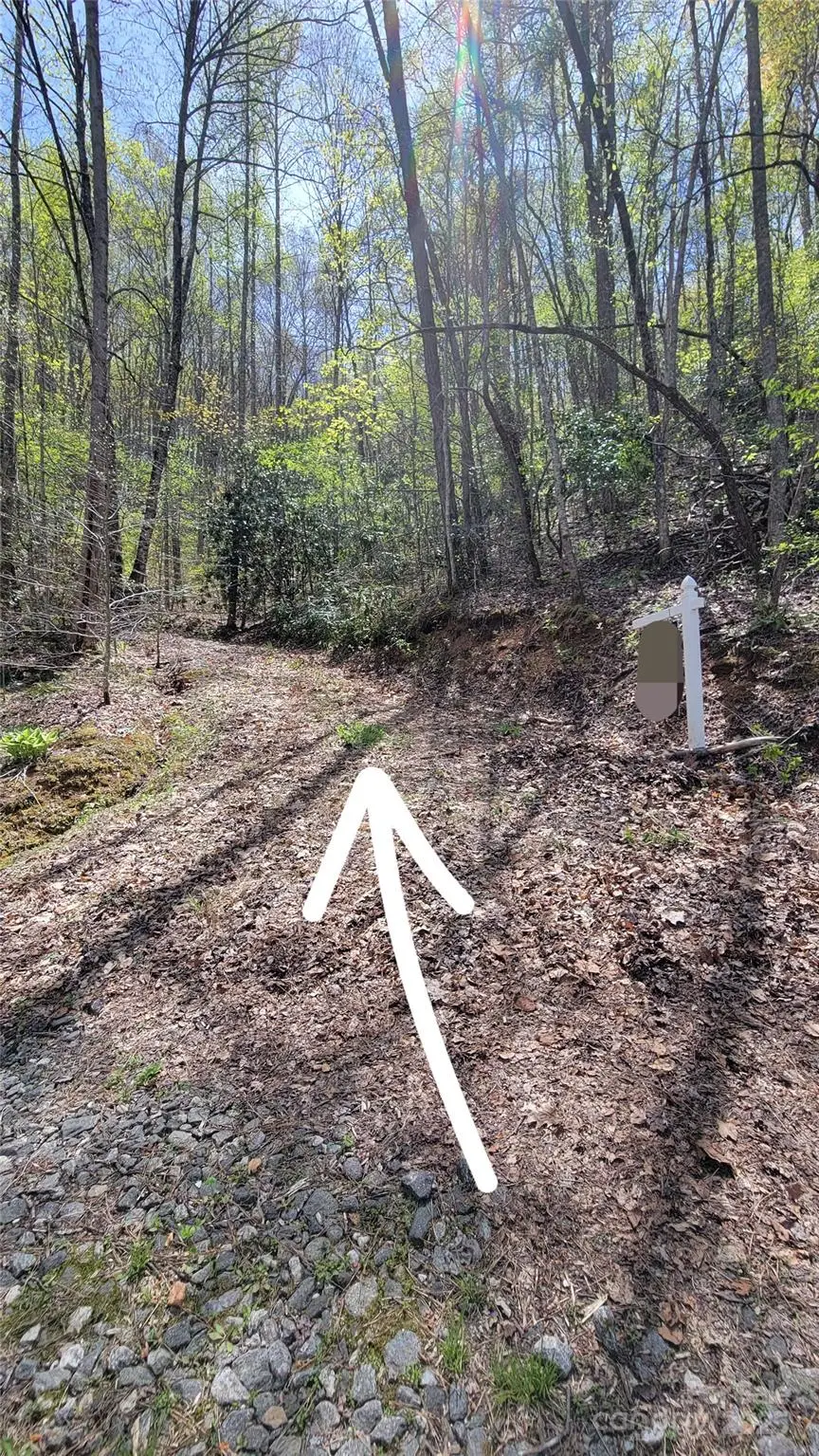 29 Lacy Fern Ridge #29, Sylva, NC 28779 - Image #2