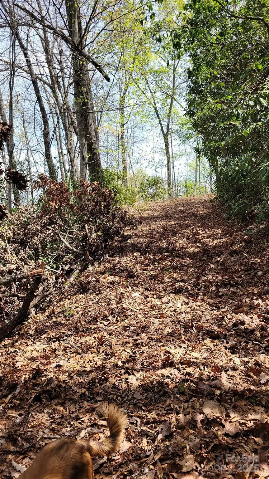 30 Lacy Fern Ridge #30, Sylva, NC 28779 - Image #2