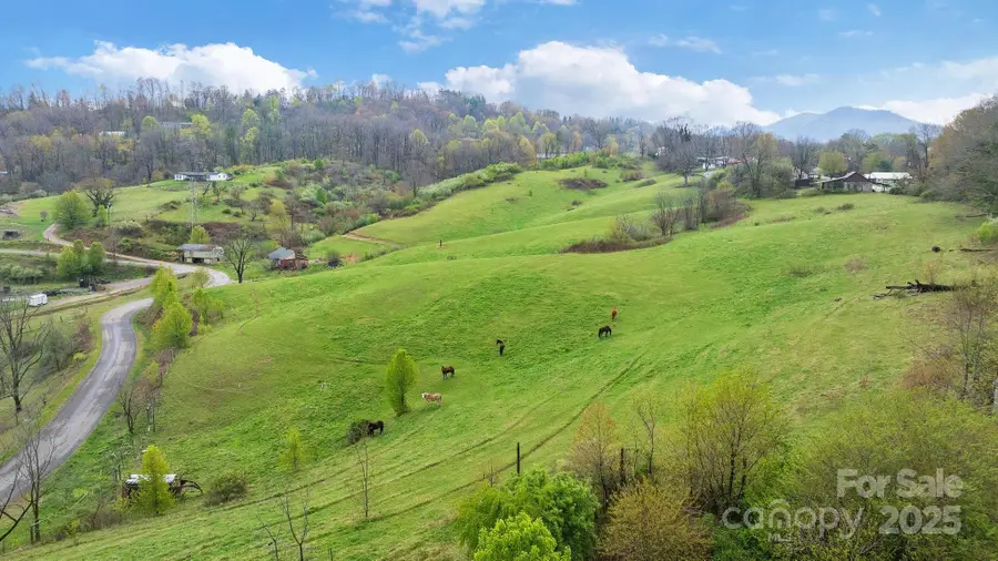 618 Beaverdam Street, Canton, NC 28716 - Image #3