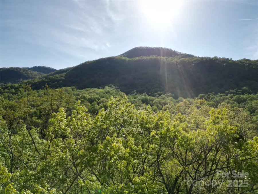 Lot 164 Spanarkel Lane, Lake Lure, NC 28746 - Image #2
