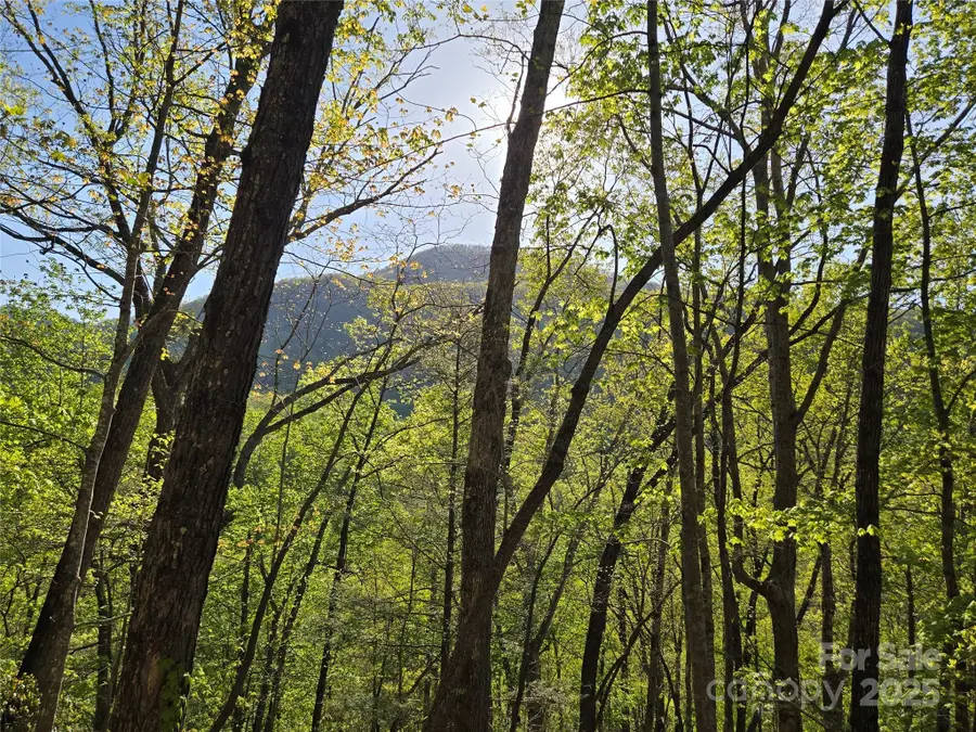 Lot 164 Spanarkel Lane, Lake Lure, NC 28746 - Image #3