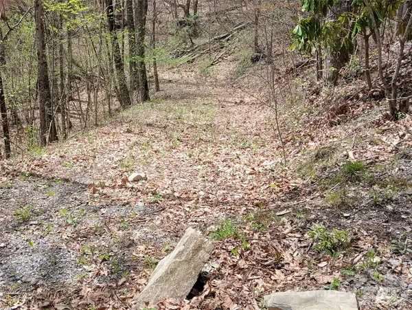 9999 Clara Corn Drive, Maggie Valley, NC 28751