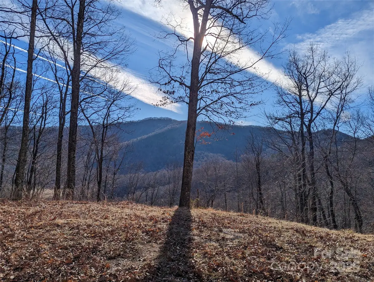 367 Kestrel Lane #T-85, Black Mountain, NC 28711 - Image #1