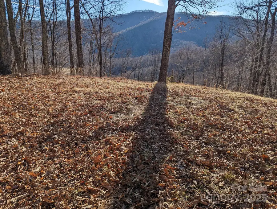 367 Kestrel Lane #T-85, Black Mountain, NC 28711 - Image #2
