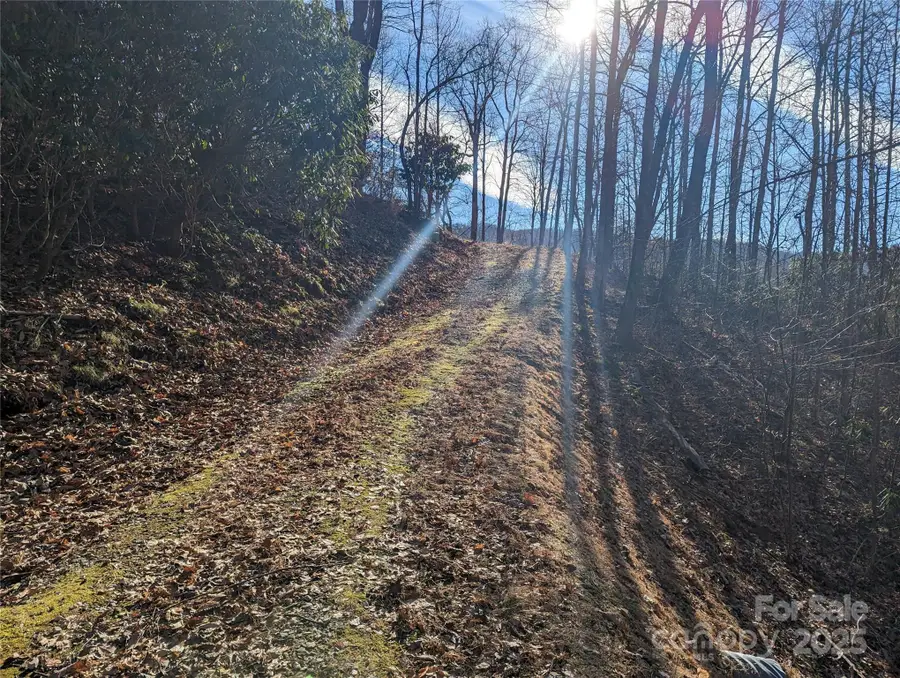 367 Kestrel Lane #T-85, Black Mountain, NC 28711 - Image #3