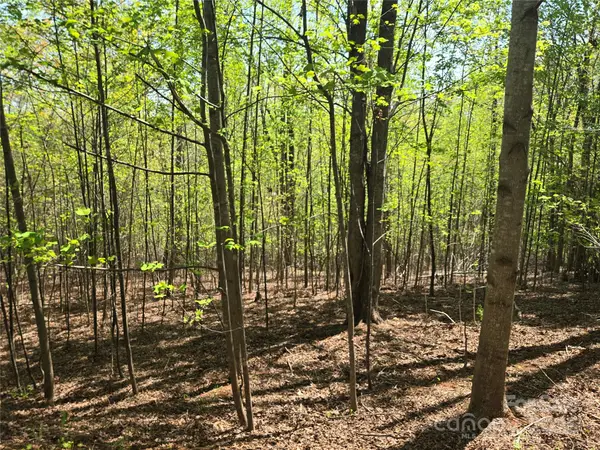 Lot 14 Back Hollow Drive, Lake Lure, NC 28746