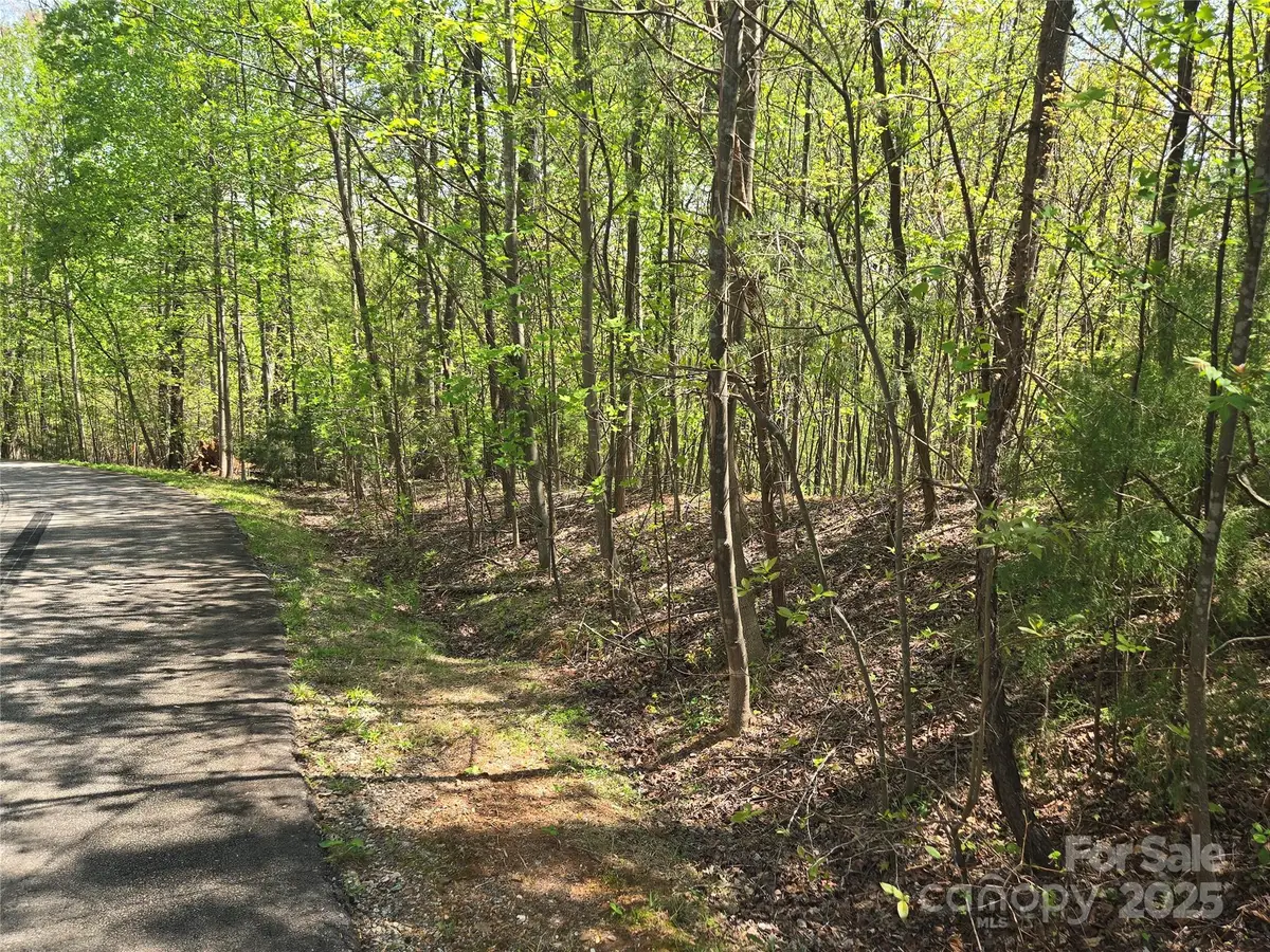 Lot 15 Touch Me Not Trail, Lake Lure, NC 28746 - Image #1