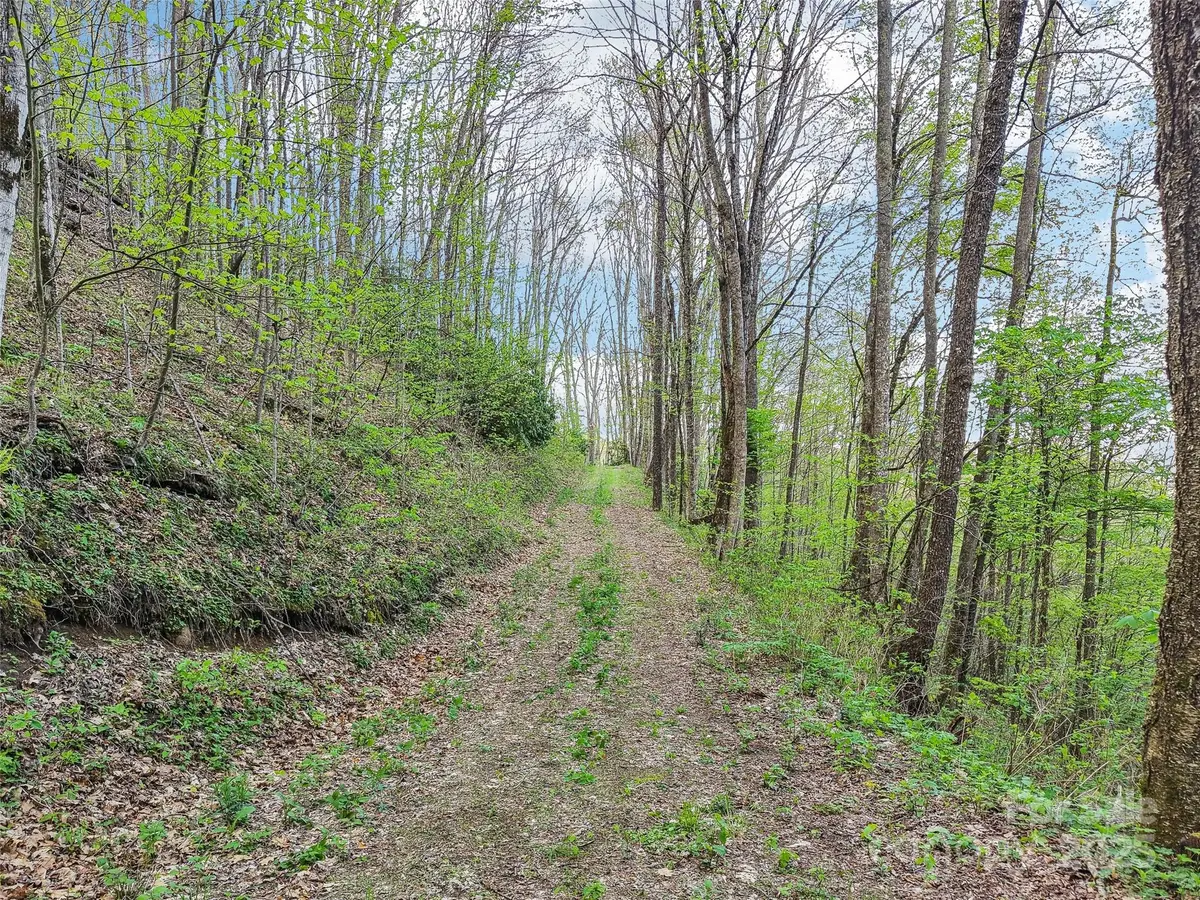 0 Star Crest Drive, Waynesville, NC 28785 - Image #1