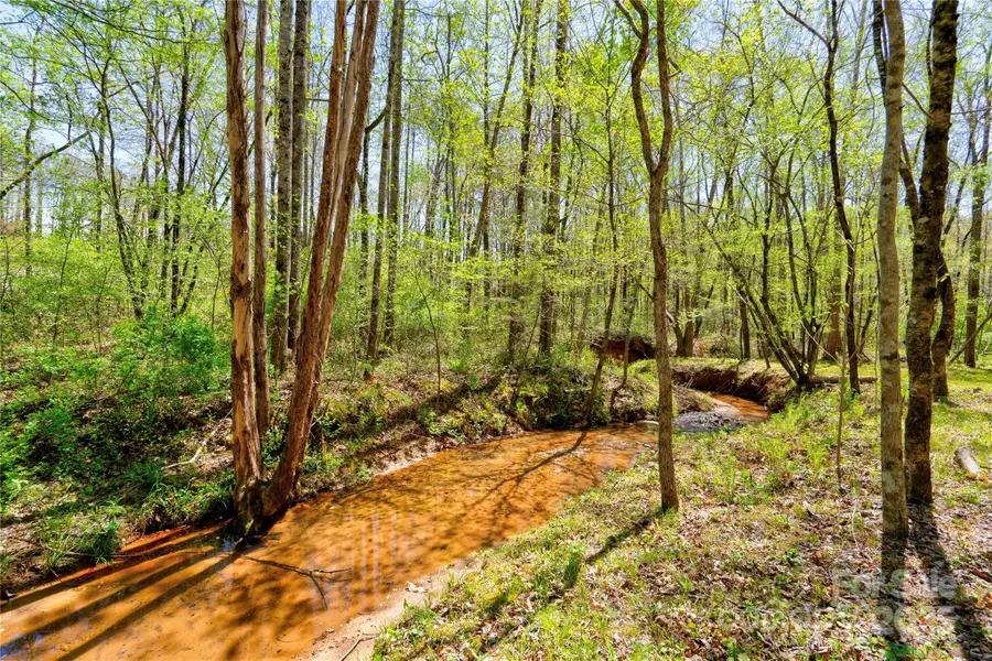 0 Taylor Road, Rutherfordton, NC 28139 - Image #2