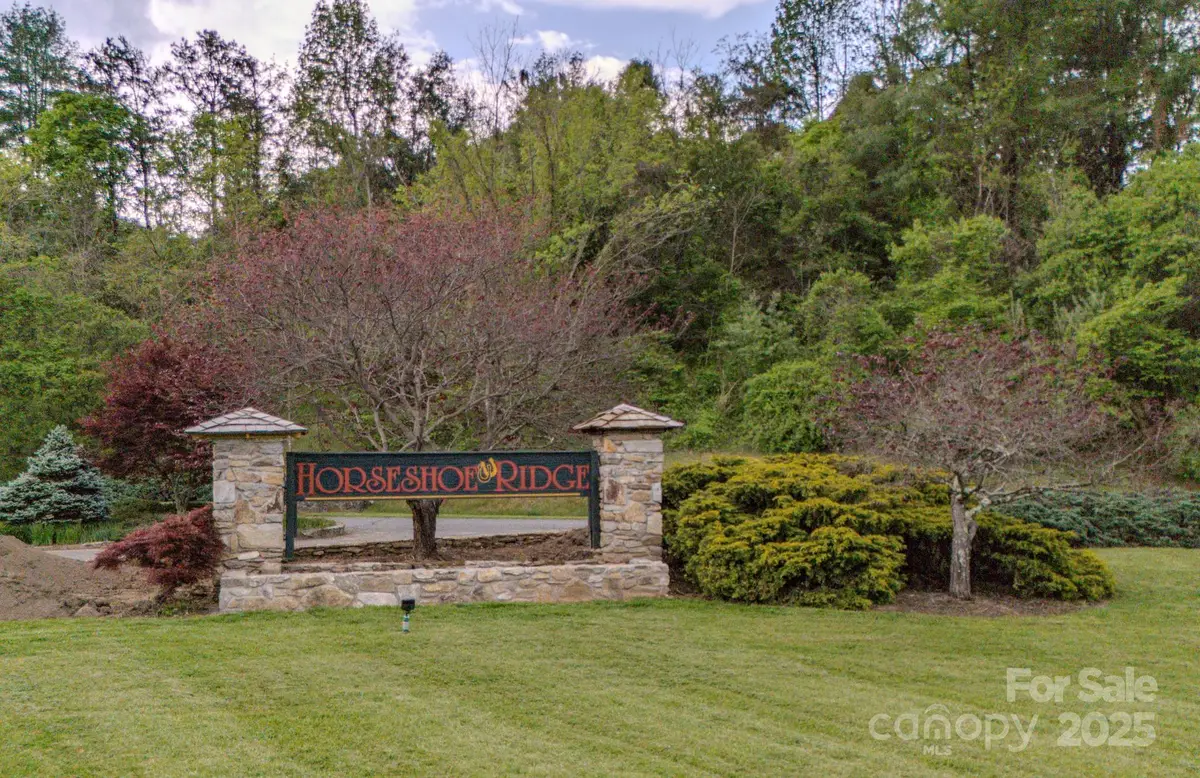 000 Buena Vista Drive #25, Barnardsville, NC 28709 - Image #1