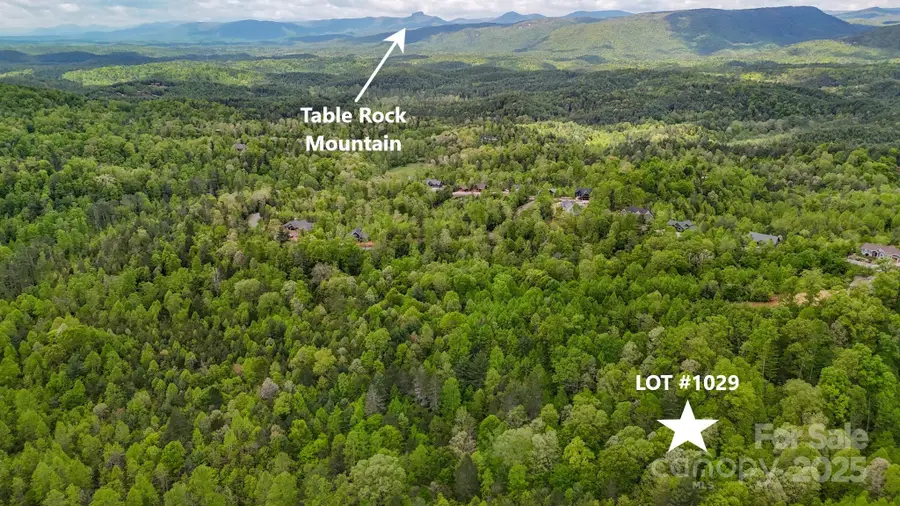 00 River Club Ridge #1029, Lenoir, NC 28645 - Image #2