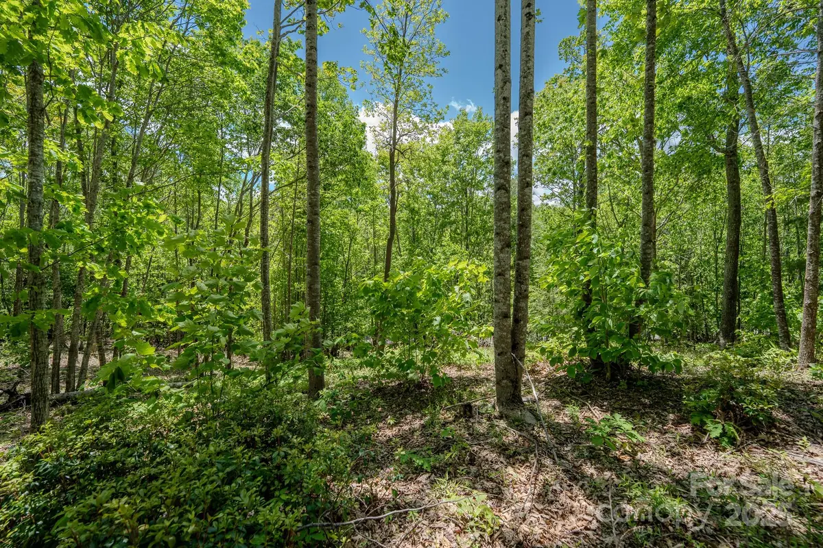 0 Beaver Dam Road, Elk Park, NC 28622 - Image #1