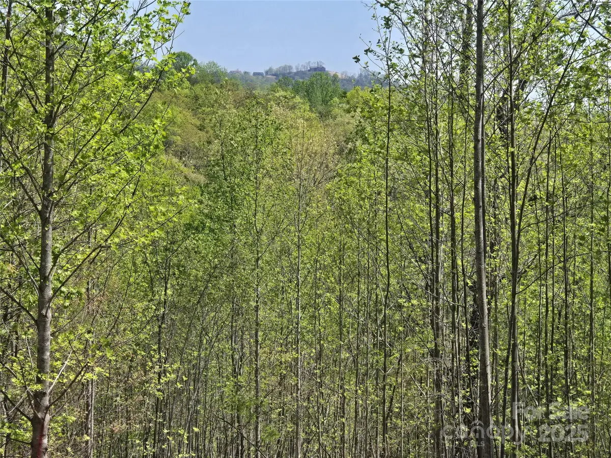 Lot 17 Touch Me Not Trail, Lake Lure, NC 28746 - Image #1