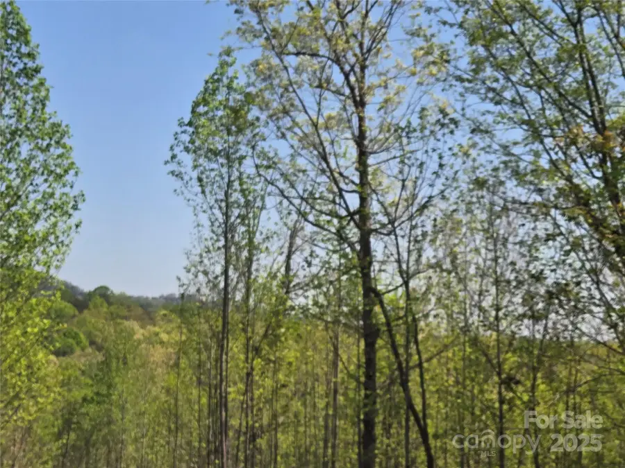 Lot 20 Touch Me Not Trail, Lake Lure, NC 28746 - Image #2