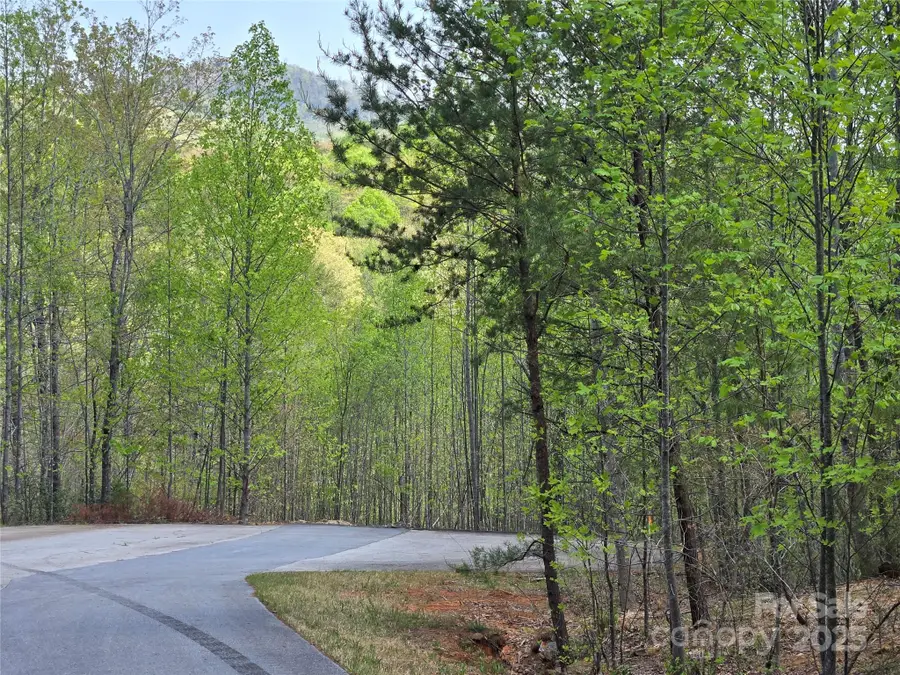 Lot 20 Touch Me Not Trail, Lake Lure, NC 28746 - Image #3