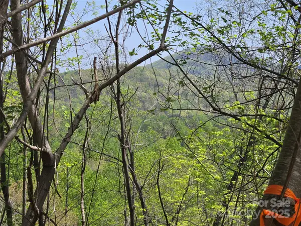 Lot 24 High Rock Ridge, Lake Lure, NC 28746