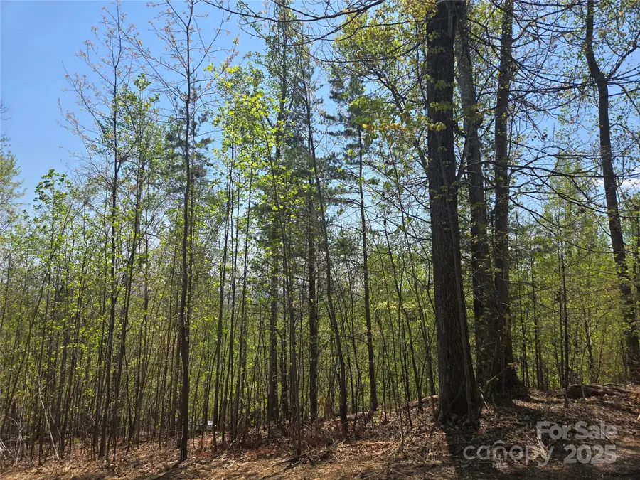 Lot 32 High Rock Ridge, Lake Lure, NC 28746 - Image #2
