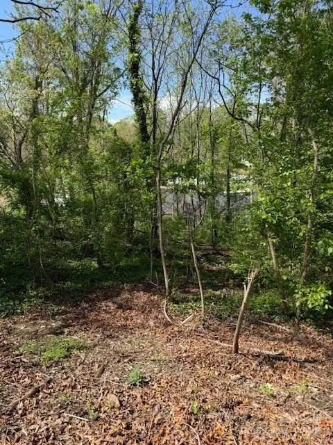 99999 Reese Street, Woodfin, NC 28804 - Image #1