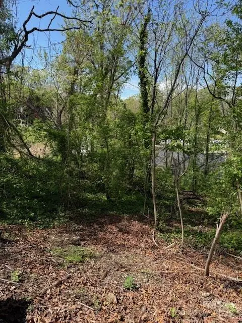 99999 Reese Street, Woodfin, NC 28804 - Image #2