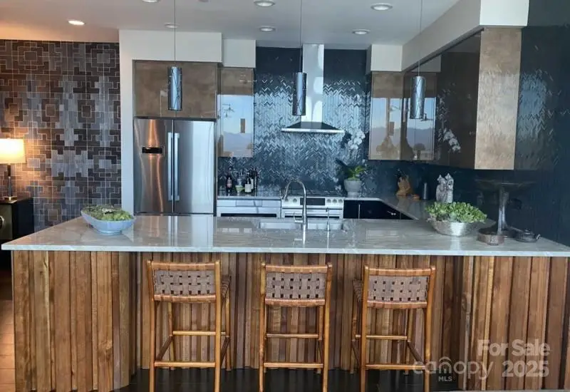 7 Patton Avenue #1107, Asheville, NC 28801 - Image #3