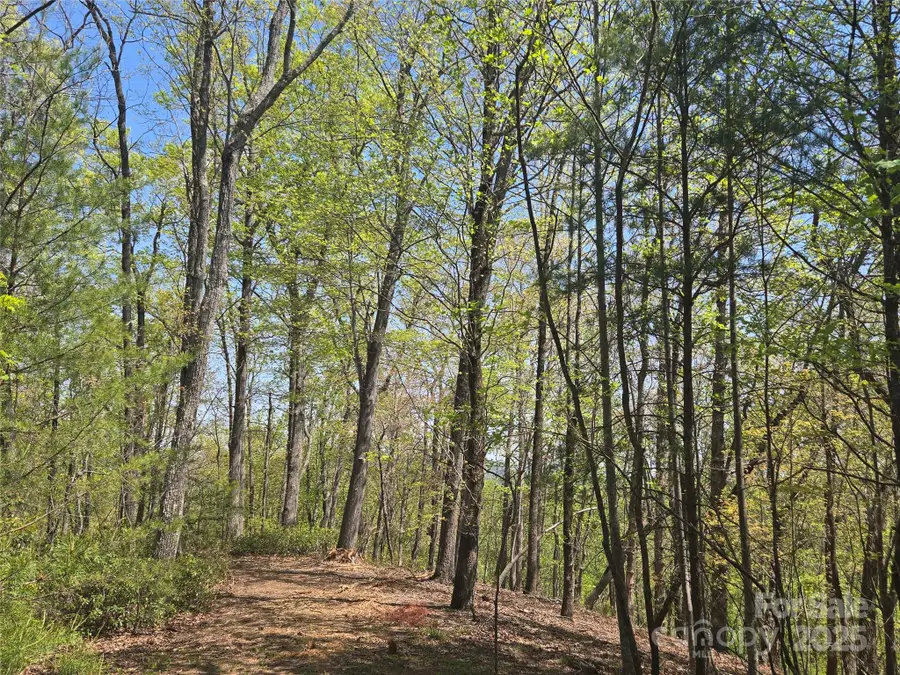Lot 36 Turkey Fall Lane, Lake Lure, NC 28746 - Image #2