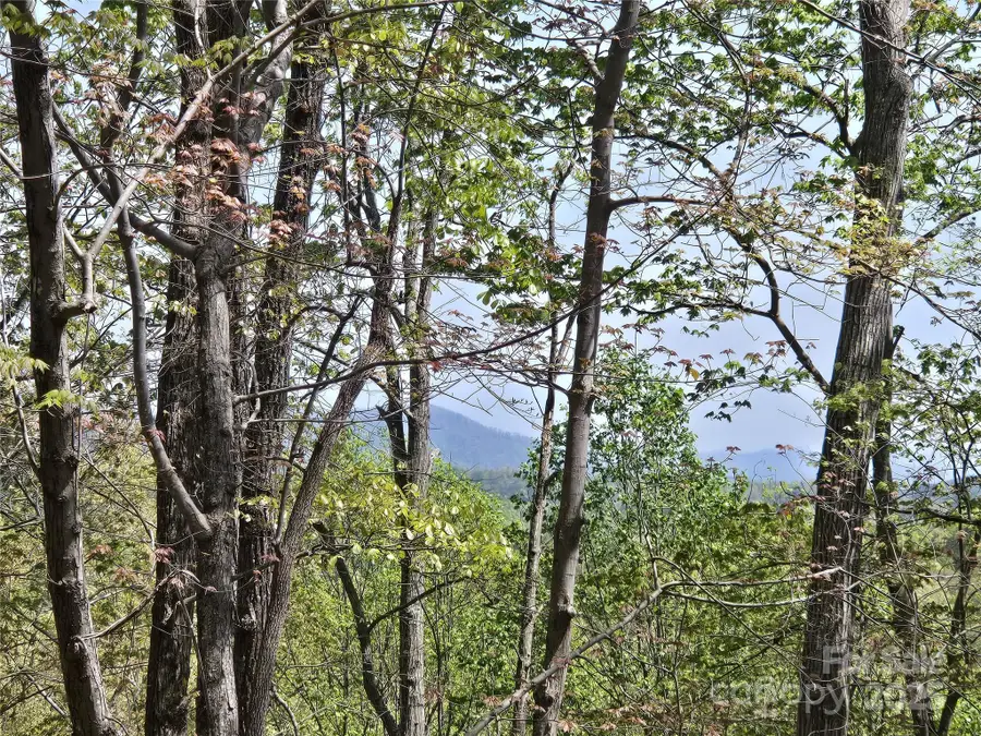 Lot 36 Turkey Fall Lane, Lake Lure, NC 28746 - Image #3