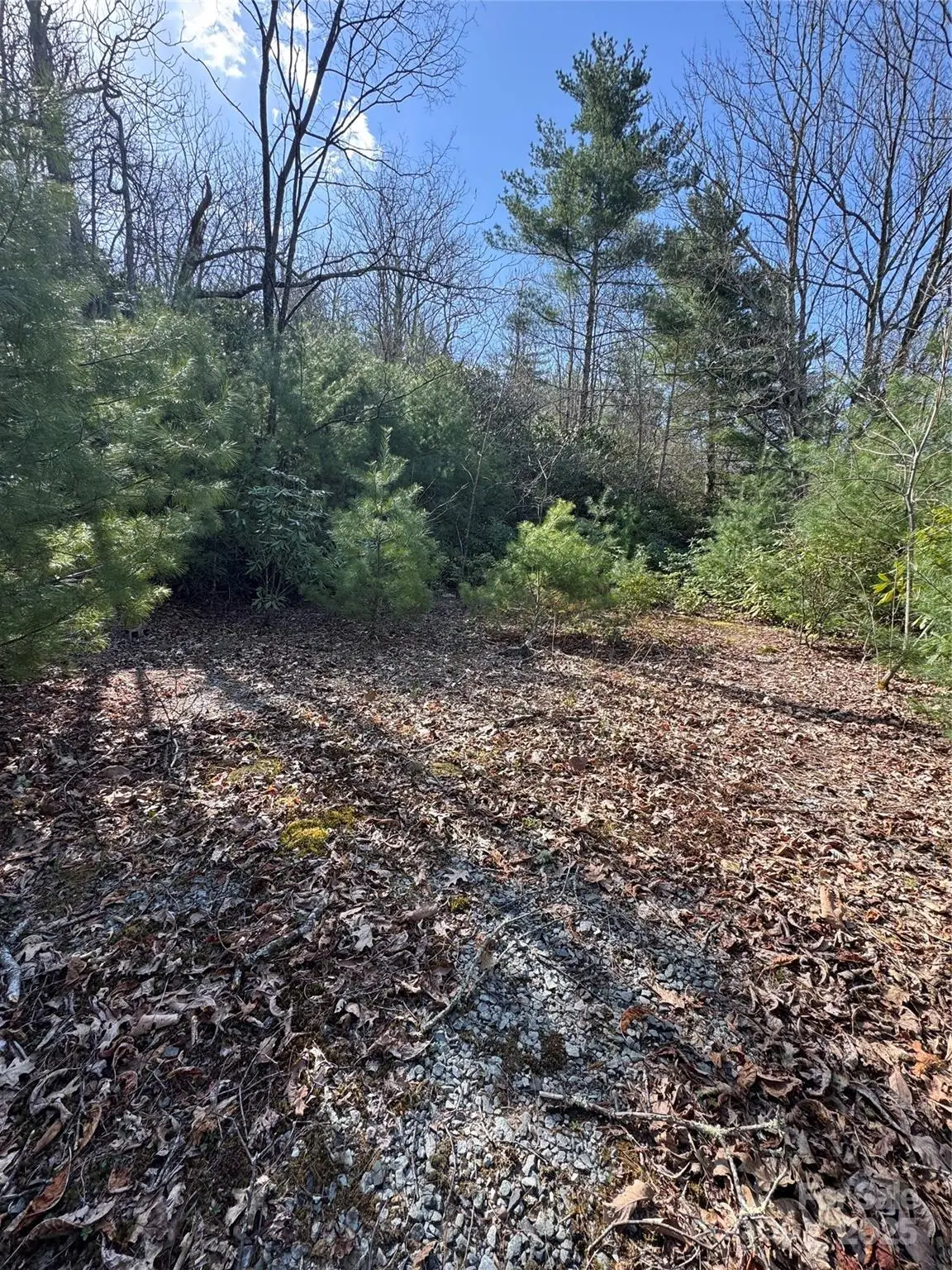 7797 Huskins Drive, Newland, NC 28657 - Image #1