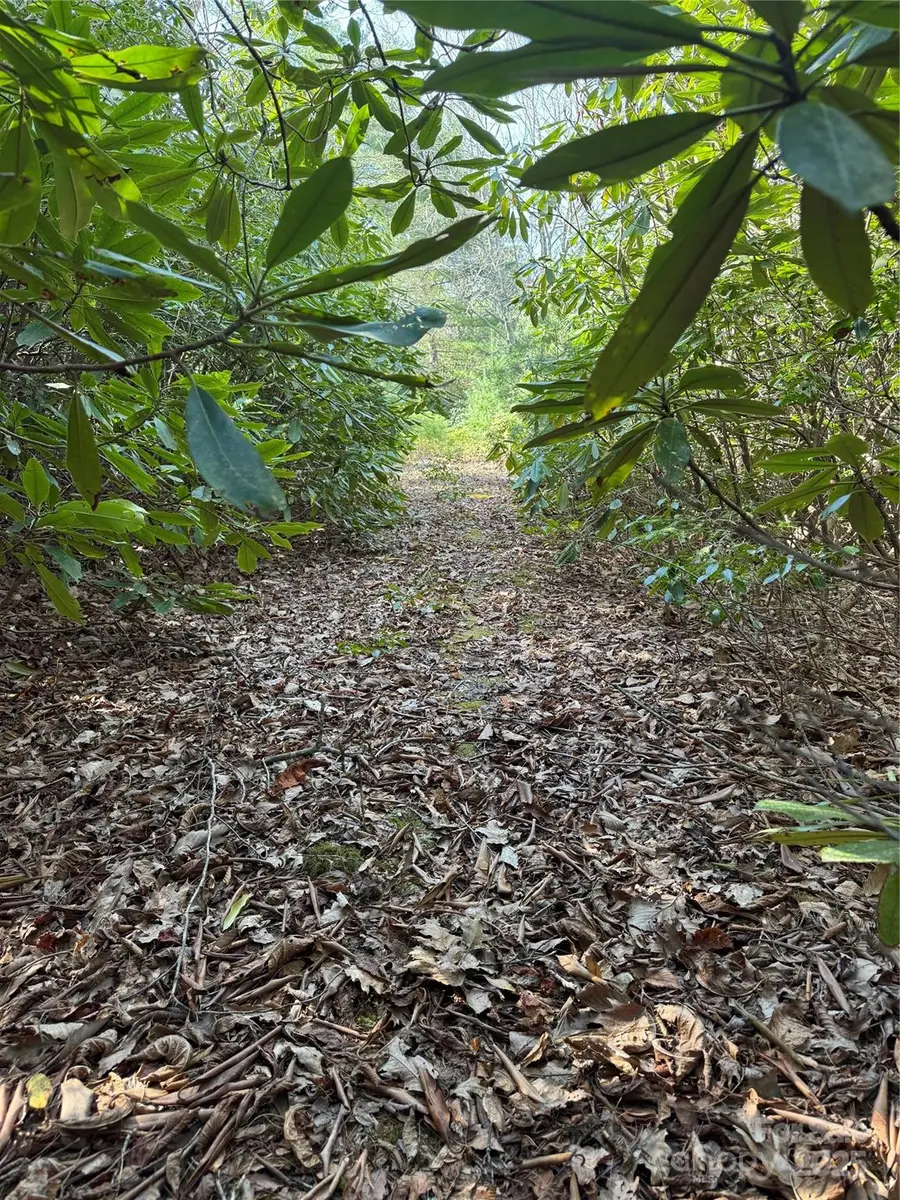 7797 Huskins Drive, Newland, NC 28657 - Image #3