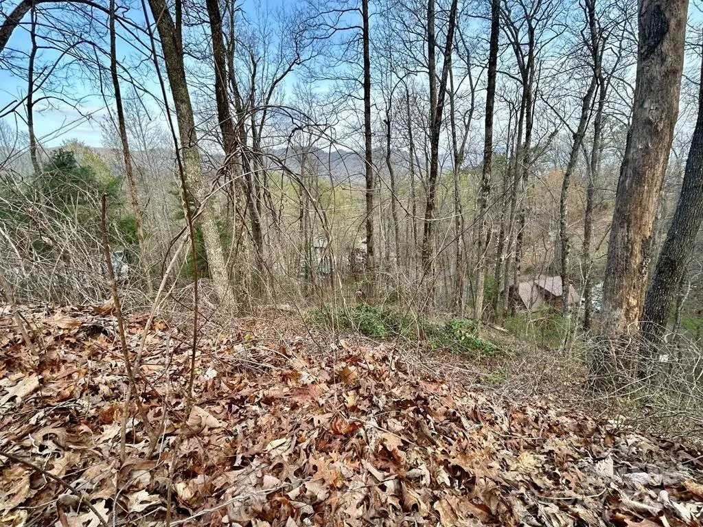 Lot 6 Biltmore Circle #6, Bryson City, NC 28713 - Image #1