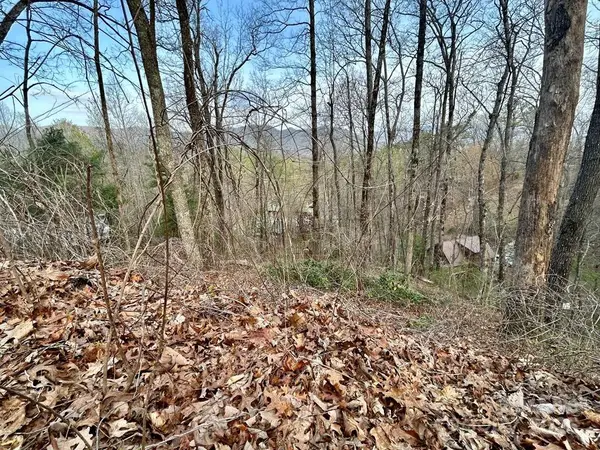 Lot 6 Biltmore Circle #6, Bryson City, NC 28713