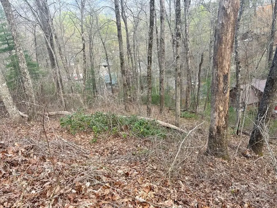 Lot 6 Biltmore Circle #6, Bryson City, NC 28713 - Image #2