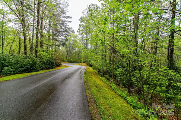 TBD High Hemlock Trail #46, Brevard, NC 28712