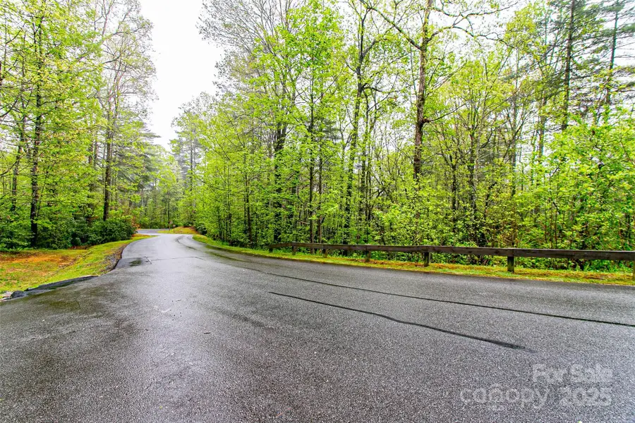 TBD High Hemlock Trail #46, Brevard, NC 28712 - Image #3
