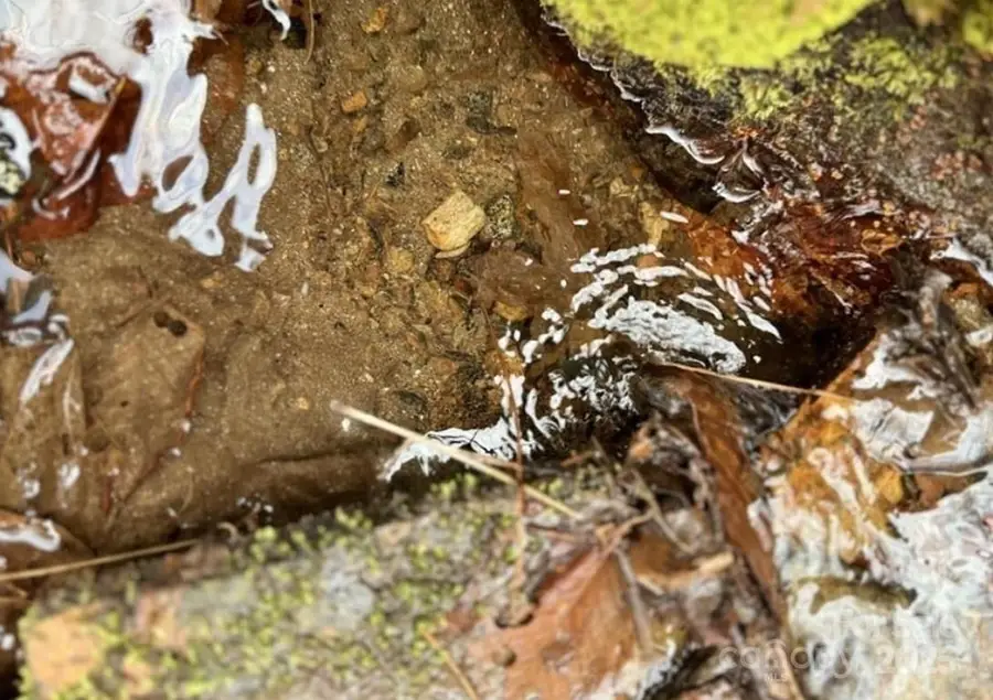 TBD Doublehead Mountain Road, Newland, NC 28657 - Image #3