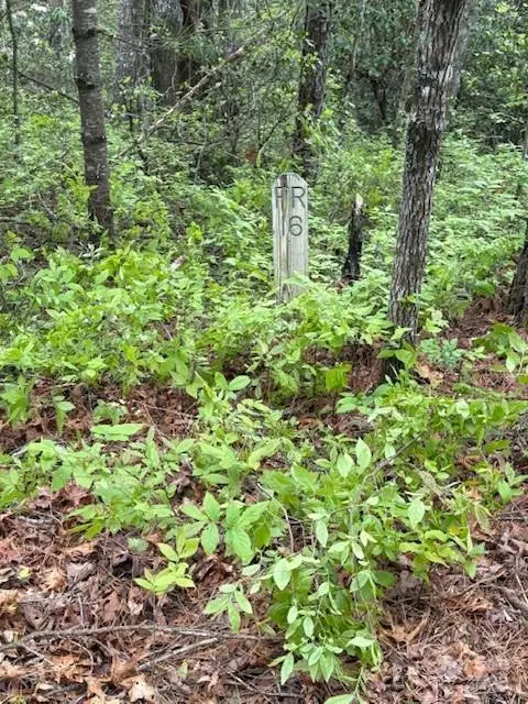 FR 16 Opossum Path #FR 16, Brevard, NC 28712 - Image #1