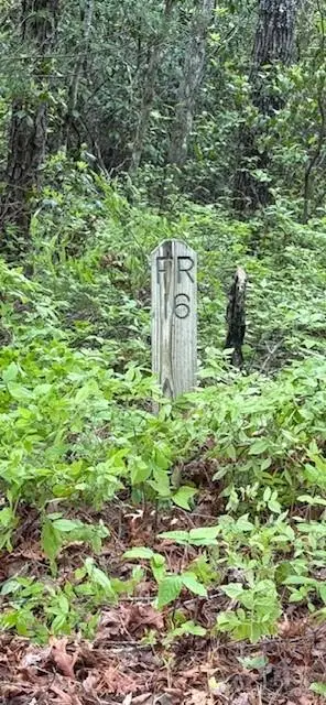 FR 16 Opossum Path #FR 16, Brevard, NC 28712 - Image #2