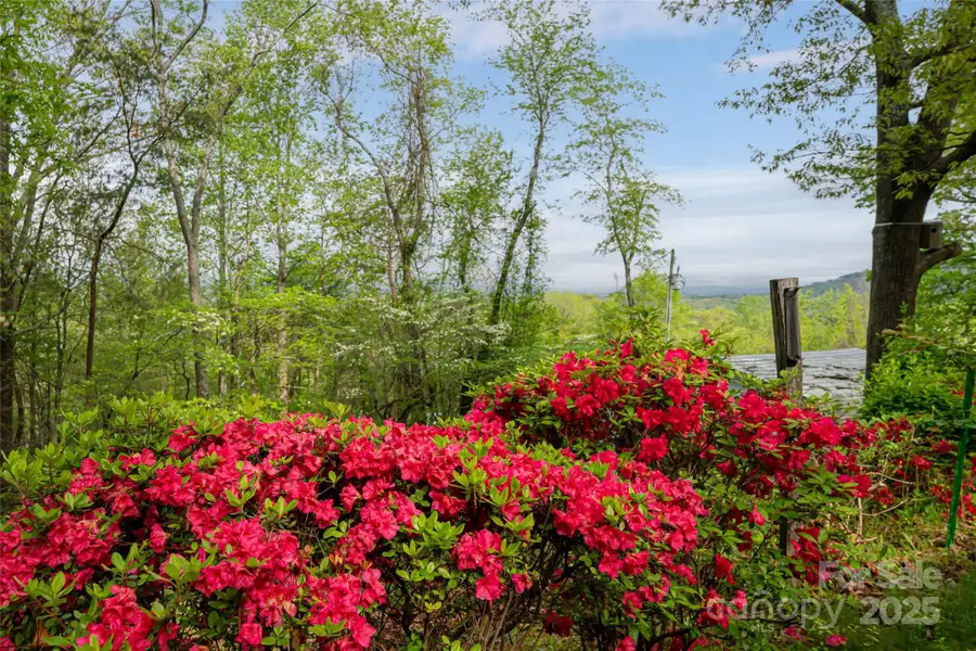 25 Coal Creek Lane, Weaverville, NC 28787 - Image #3
