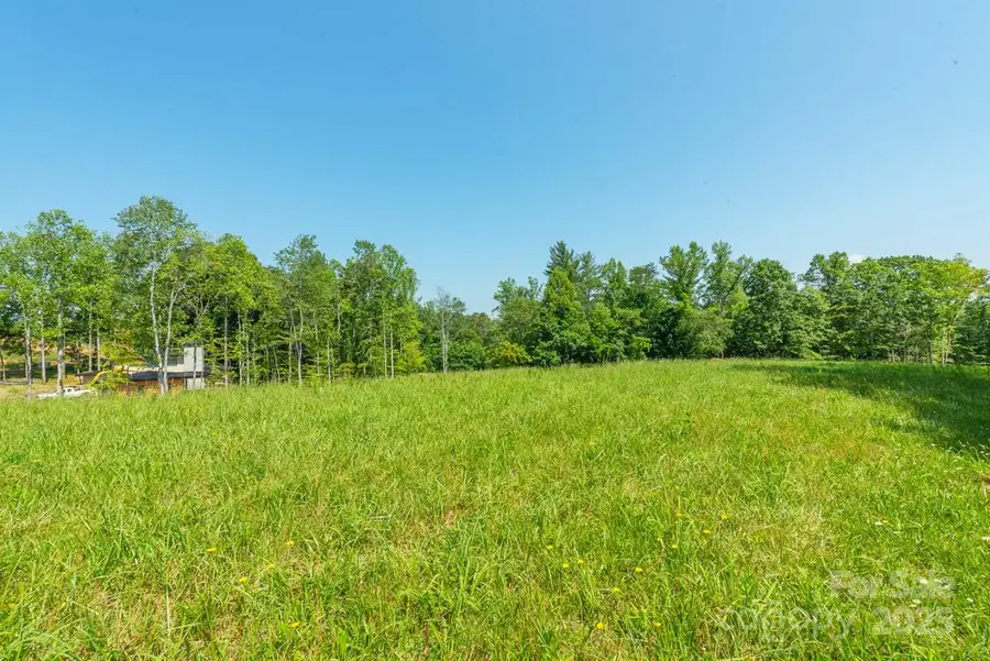 116 Lilikoi Lane #95, Asheville, NC 28804 - Image #3